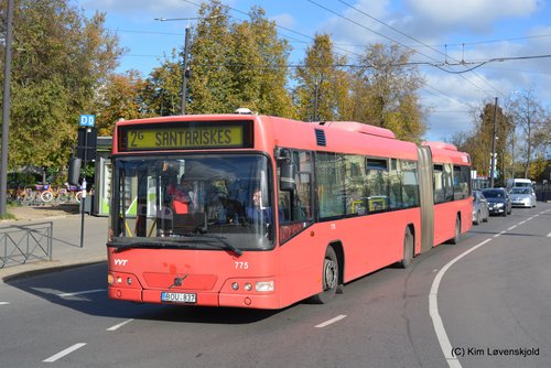 Buses