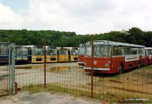 IMG 2010 01 22