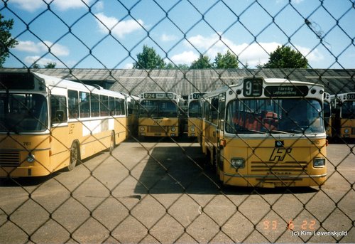 IMG 2010 01 22 (38)