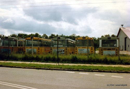 IMG 2010 01 22 (5)