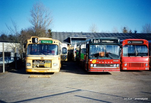 IMG 2010 01 22 (15)