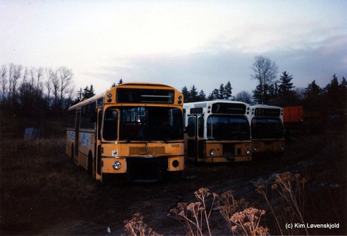 IMG 2010 01 22 (24)