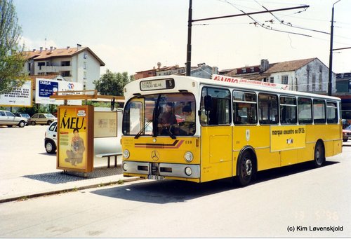Buses