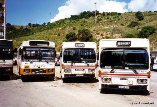 1972' Volvo B58-60 Camo (rebodied) + 2 x 1979' Scania CR112