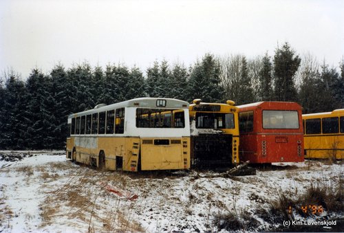 IMG 2010 01 22 (16)