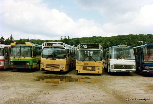 IMG 2010 01 22 (2)