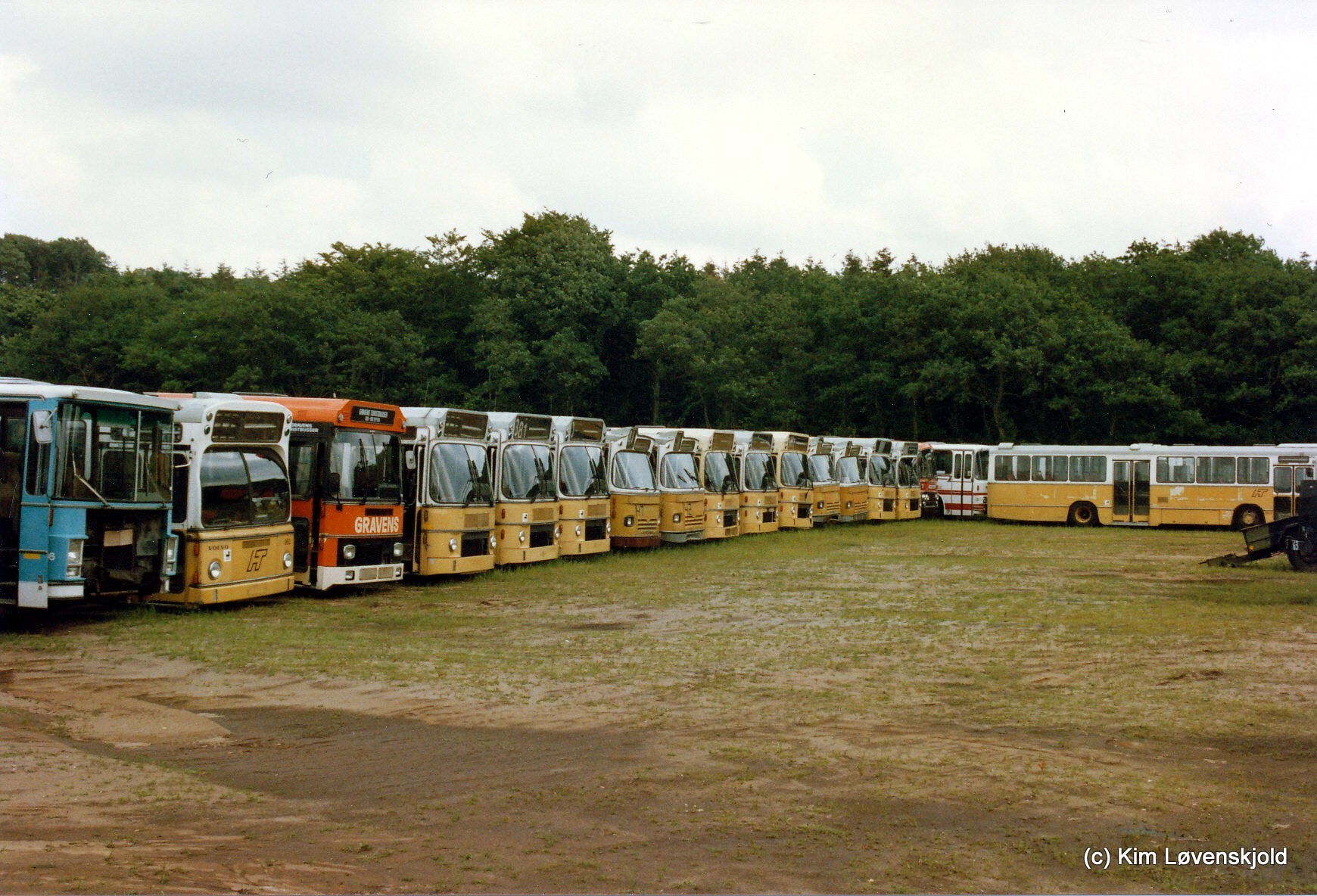 IMG 2010 01 22 (3)
