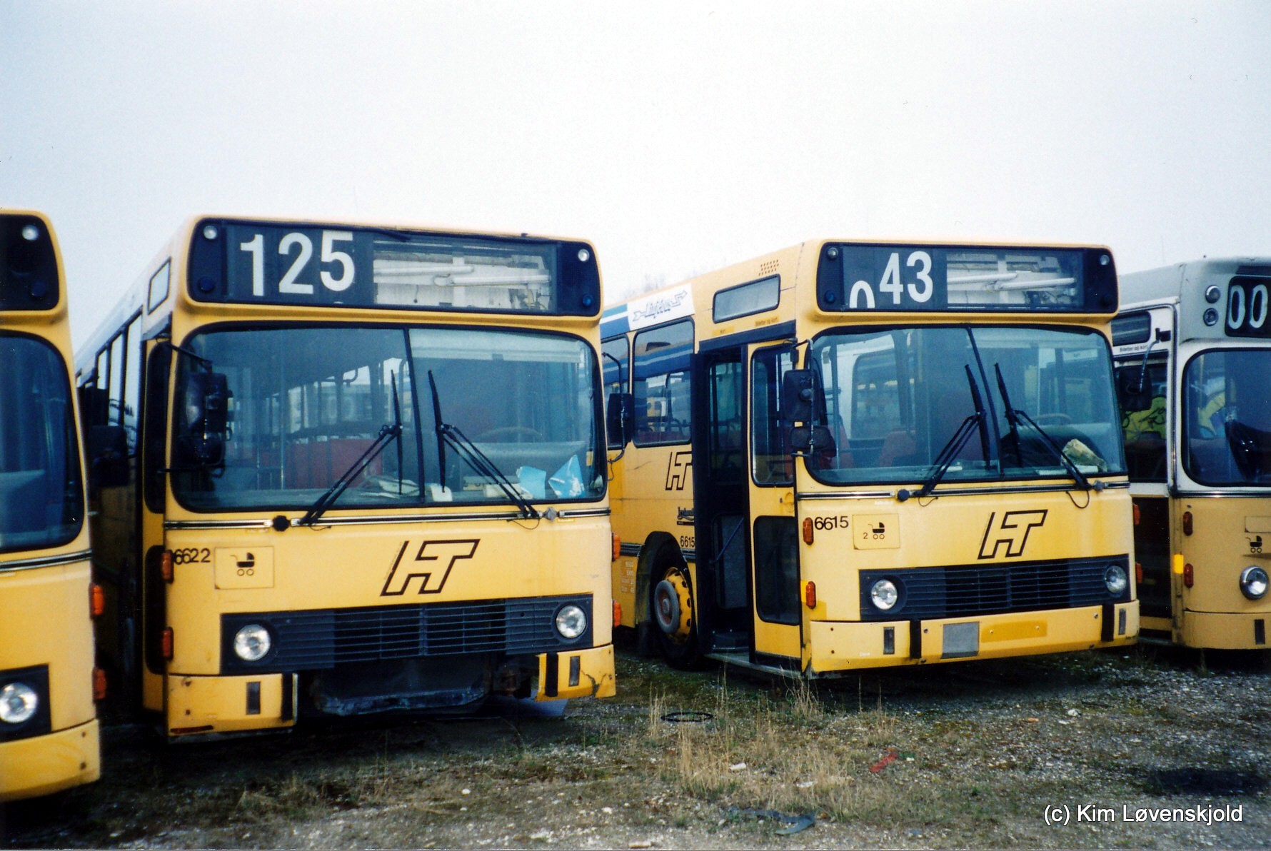 1984' Leyland 8-1200B DAB