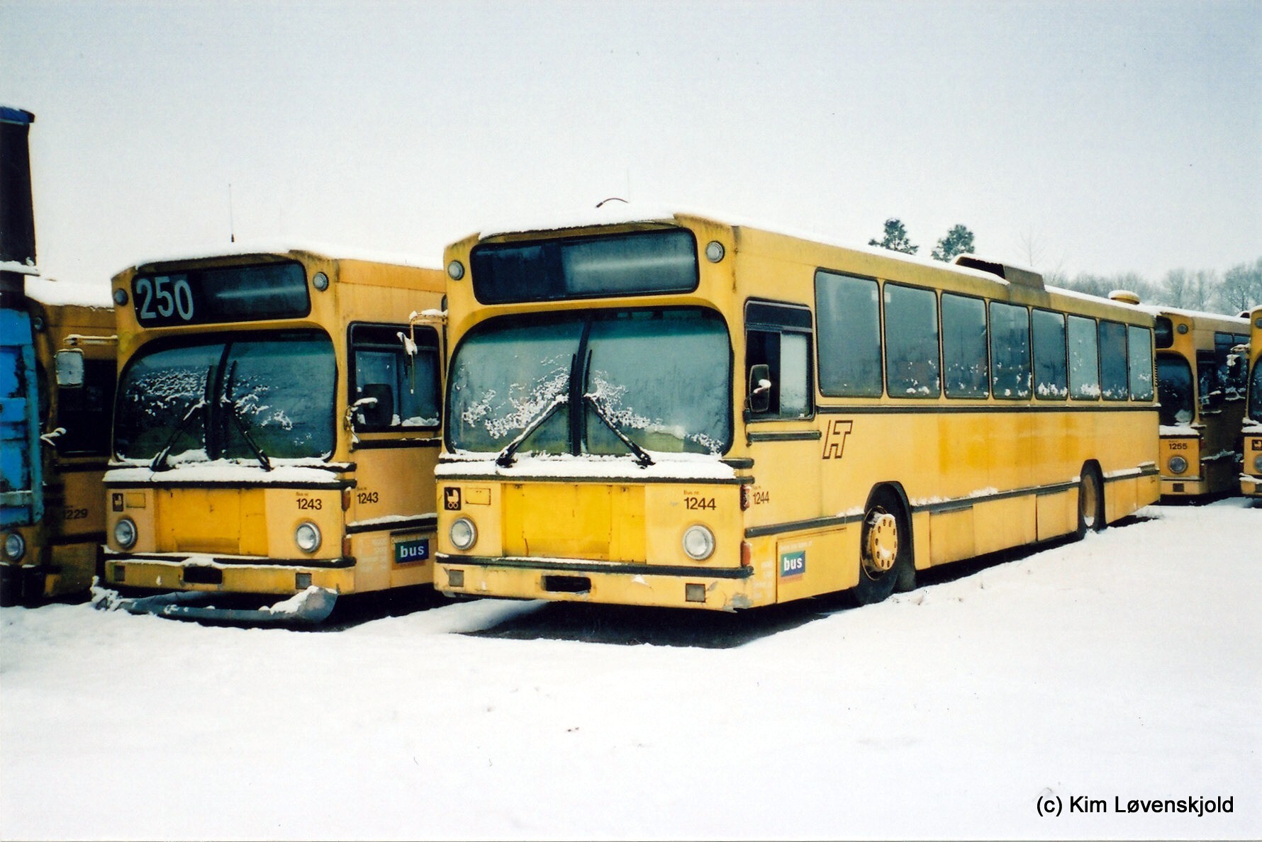 1979' Volvo B10R-59 Aabenraa
